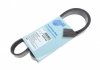Ремень генератора Ford Focus 1.4i 98-01/ Honda Accord/ Prelude 2.2 96-02 BLUE PRINT AD06R1042 (фото 1)