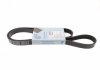 Ремень генератора Renault Kangoo 1.9D 98-/ Hyundai i30/ Kia Cee\d 2.0 07-12 BLUE PRINT AD06R1400 (фото 1)