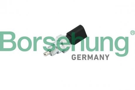 Выключатель (OE) Borsehung B18007