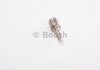 Розпилювач форсунок BOSCH 0433172040 (фото 1)