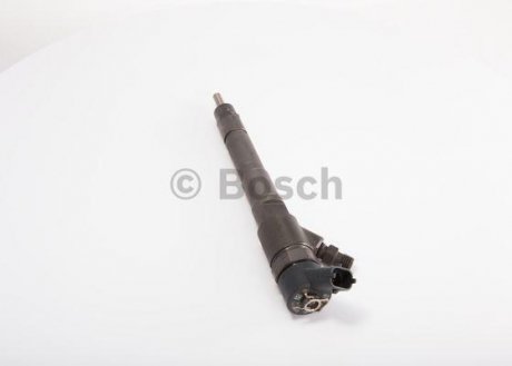 Форсунка Citroen Jumper/Fiat Ducato/Iveco Daily 3.0HDi 06- BOSCH 0 445 110 248 (фото 1)