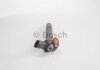 Форсунка Citroen Jumper/Peugeot Boxer 3.0 HDi/Iveco Daily 10- BOSCH 0 445 116 059 (фото 2)