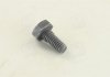 Болт форсунки MB/Iveco (5x5x10) BOSCH 2433456034 (фото 5)