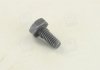 Болт форсунки MB/Iveco (5x5x10) BOSCH 2433456034 (фото 4)