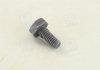 Болт форсунки MB/Iveco (5x5x10) BOSCH 2433456034 (фото 3)