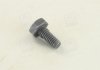Болт форсунки MB/Iveco (5x5x10) BOSCH 2433456034 (фото 2)