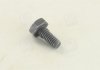 Болт форсунки MB/Iveco (5x5x10) BOSCH 2433456034 (фото 1)