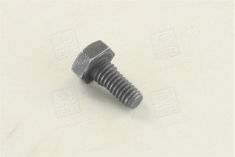 Болт форсунки MB/Iveco (5x5x10) BOSCH 2433456034 (фото 1)