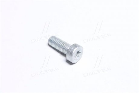 ГВІНТ SH cap screw (вир-во) BOSCH 2912738197 (фото 1)