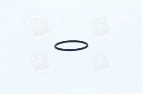Уплотнительное кольцо BOSCH F00RJ00220 (фото 1)