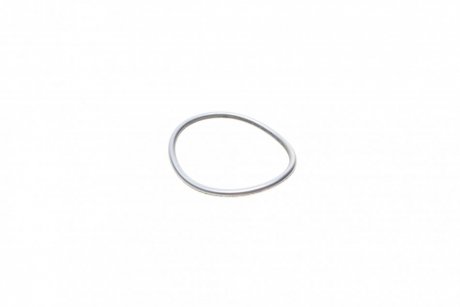 Уплотнительное кольцо ТНВД (пр-во) BOSCH F01M100114 (фото 1)
