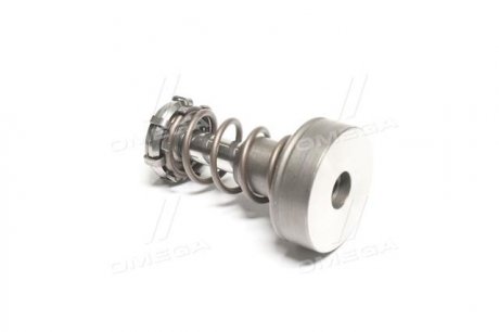 Плунжерна пара BOSCH F01M101347