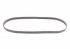 Ремінь полікліновий DAEWOO LANOS седан (KLAT) 1.6 16V (Вир-во) Contitech 5PK1005 (фото 4)