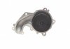 Помпа води Ford C-Max I/Focus I/II/Fiesta/Mondeo/Transit/Tourneo Connect 1.8DI/TDCi/TDDi 99- Contitech WPS3006 (фото 3)