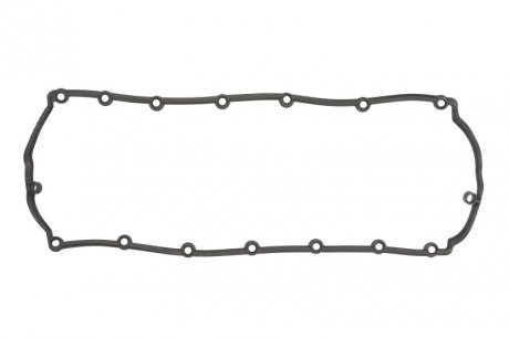 Прокладка, кришка головки циліндра VAG T5 2.5TDI BNZ/BCP/BPD/BPE 03-09 (вир-во) ELRING 246.520 (фото 1)