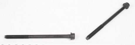 Комплект болтов головки цилидра FIAT/OPEL 1.6 D Multijet 10- (пр-во) ELRING 524.160 (фото 1)