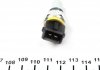 Датчик увімкнення заднього ходу Citroen Berlingo 1.1/1.4/Jumper 1.9D/2.8TDi 94- (M14x1.5) FAE 40570 (фото 3)