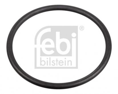 Прокладка насосу паливного Audi/VW/Ford/MB/Opel/Renault (31x2mm) FEBI BILSTEIN 172666 (фото 1)