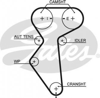 Ремень зубч. ГРМ DAEWOO LANOS, AVEO, LACETTI, NUBIRA Z=127 (пр-во) Gates 5419XS (фото 1)