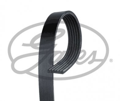 Ремень поліклиновий Gates 6PK1213XS