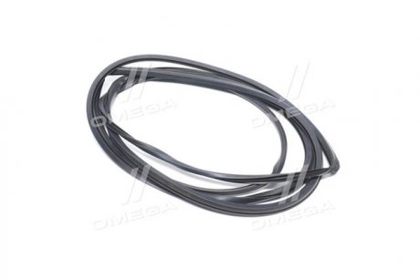 Молдинг лобового стекла GM 96169660