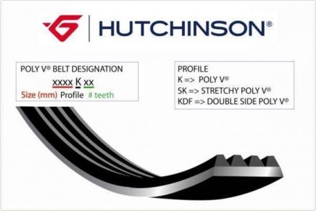 Ремень генератора Citroen Berlingo/Fiat Ducato 1.8/1.9D /Citroen Jumper 3.0HDI 96- (6PK1160) HUTCHINSON 1160 K 6 (фото 1)