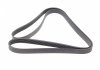 Ремень генератора MB S-class (W220/C215) 5.5-6.0 02-06/Land Rover Range Rover 3.9-4.6 94-02 HUTCHINSON 2335 K 7 (фото 5)