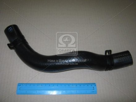 Патрубок радиатора нижний (25410-4A150) Hyundai/Kia/Mobis 254104A150 (фото 1)
