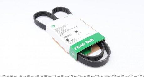 Ремень поликлиновой INA FB5PK1230