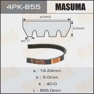 Ремінь поликлиновой 4PK- 855 MASUMA 4PK855 (фото 1)