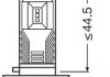 Автолампа светодиодная LED (8,2W 12V PGJ19-X FS2) OSRAM 67219CW (фото 2)