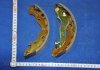 Колодка гальм. барабан. HYUNDAI ACCENT (вир-во) PARTS-MALL PLA-011 (фото 4)