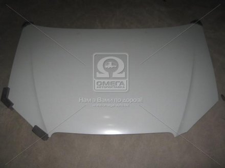 Капот BYD F3 06-13 (вир-во) TEMPEST 206 3456 280