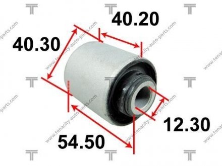 САЙЛЕНТБЛОК РЫЧАГА TENACITY AAMMI1013 (фото 1)