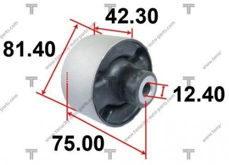 САЙЛЕНТБЛОК РЫЧАГА MITSUBISHI LANCER 01- TENACITY AAMMI1059 (фото 1)