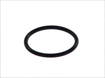 Прокладка корпусу термостата OPEL ASCONA C, ASTRA F, ASTRA F/KOMBI, ASTRA G, ASTRA G/KOMBI, CALIBRA A, FRONTERA A SPORT, KADETT E, KADETT E COMBO, KADETT E/KOMBI, OMEGA A 1.6-2.0 09.81-04.05 TOPRAN / HANS PRIES 202326 (фото 1)