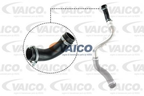 Деталі двигуна VAICO V25-1023 (фото 1)